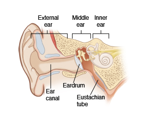 Image showing a cross-section of the external, middle, and inner ear, including the ear canal, eardrum, and eustachian tube.