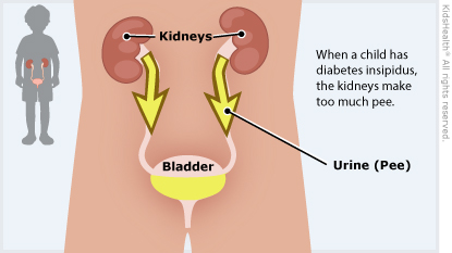 KidsHealth Image