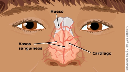 KidsHealth Image