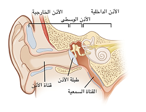 صورة تظهر قطاعًا عرضيًا من الأذن الخارجية، والأذن الوسطى، والأذن الداخلية وتشمل قناة الأذن وطبلة الأذن والقناعة السمعية.