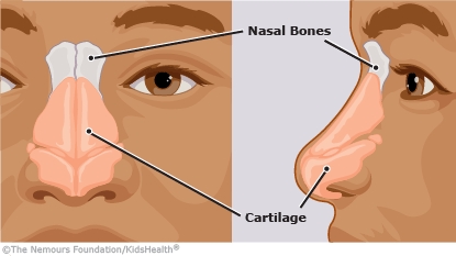 KidsHealth Image